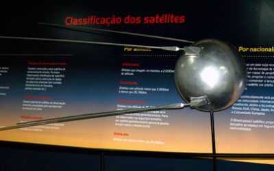 Museu Ciência e Vida reabre a exposição “Pequenos Companheiros”