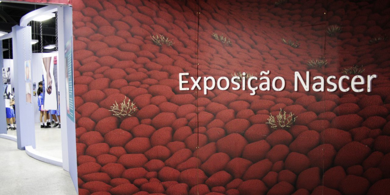 Exposição Nascer é uma homenagem do museu a todas as mães