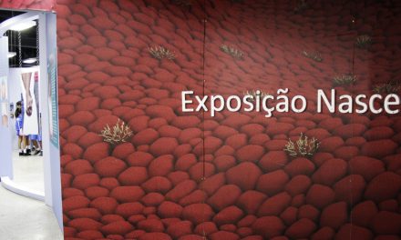 Exposição Nascer é uma homenagem do museu a todas as mães