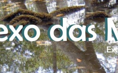Museu recebe exposição sobre manguezais