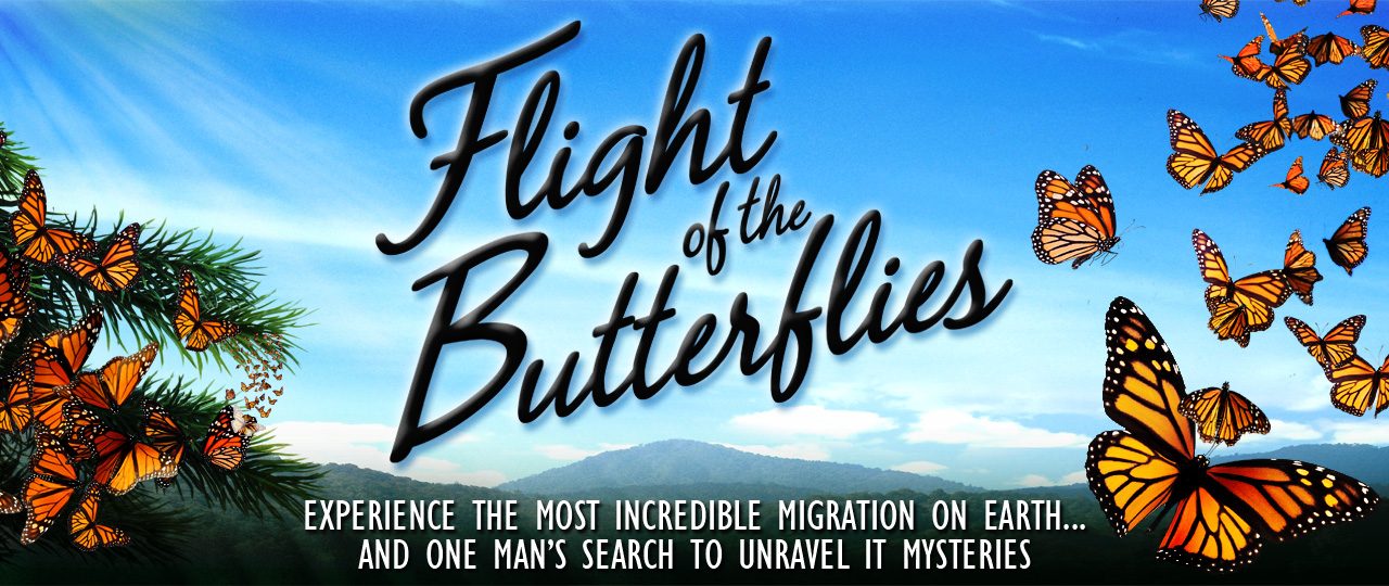 Museu Ciência e Vida recebeu o produtor do filme Fligth of The Butterflies