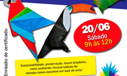 Oficina para Professores :: Fauna Brasileira em Origami