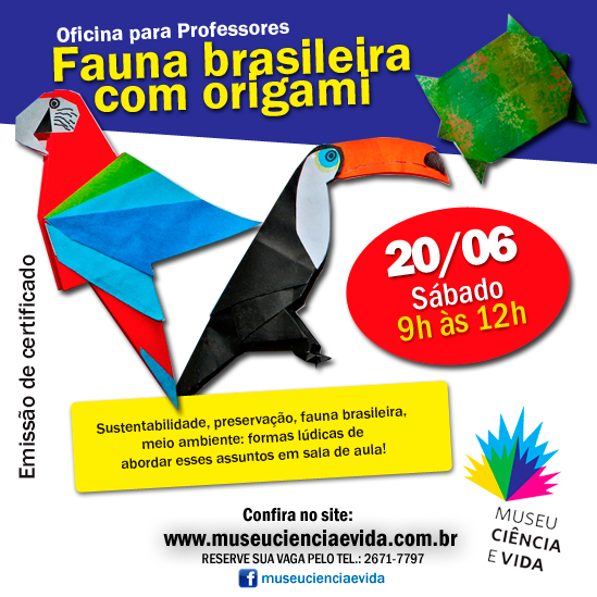 Oficina para Professores :: Fauna Brasileira em Origami