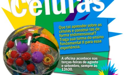 Oficina de Célula – Agosto e Setembro