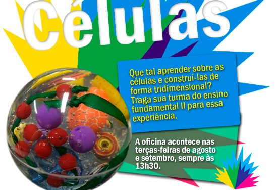 Oficina de Célula – Agosto e Setembro