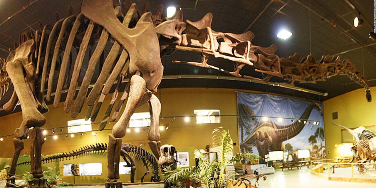 Museu recebe exposição que mistura dinossauro e robótica
