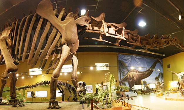 Museu recebe exposição que mistura dinossauro e robótica