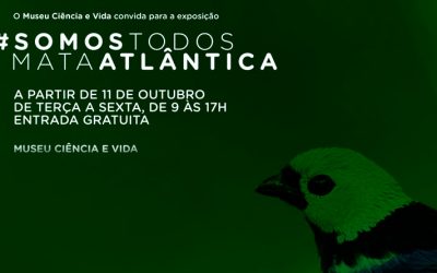 Museu Ciência e Vida inaugura exposição sobre Mata Atlântica