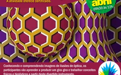 Oficina para professores – Ilusões de óptica