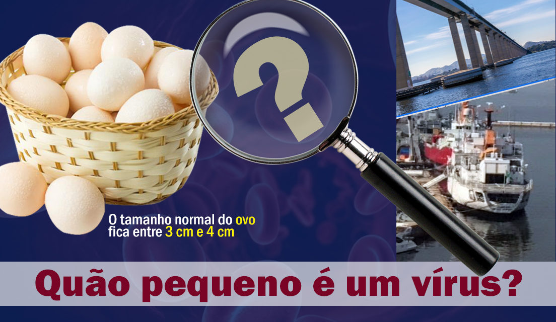 Em tempos de pandemia: você tem ideia de quão pequeno é um vírus?