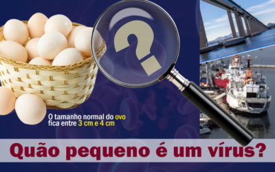 Em tempos de pandemia: você tem ideia de quão pequeno é um vírus?