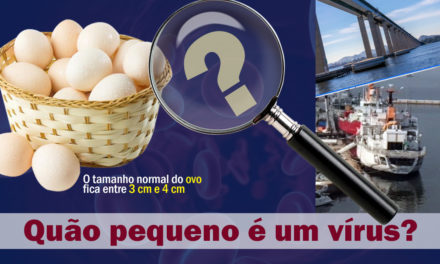 Em tempos de pandemia: você tem ideia de quão pequeno é um vírus?