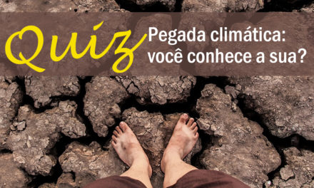 Pegada climática: jogue este quiz e descubra a sua