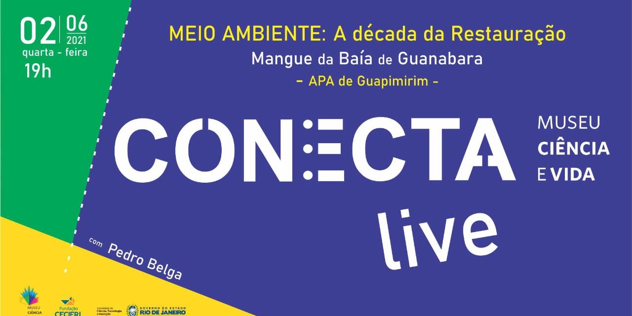 Meio Ambiente: A década da Restauração