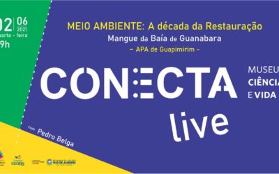 Meio Ambiente: A década da Restauração