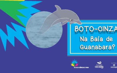 Botos-cinza? E na Baía de Guanabara?