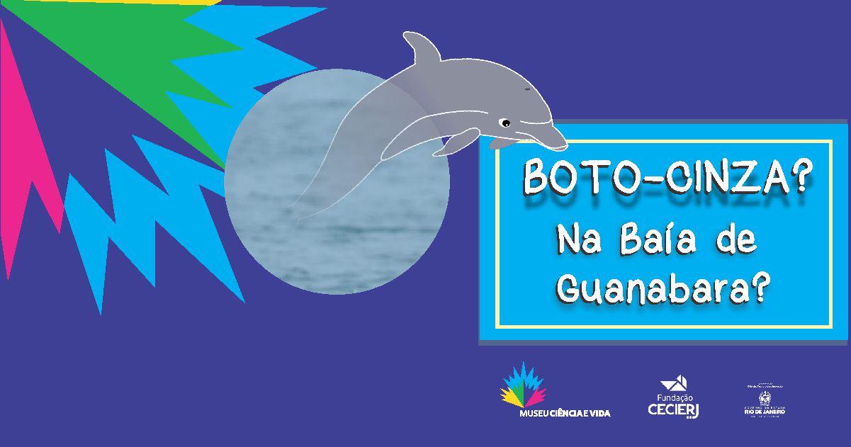 Botos-cinza? E na Baía de Guanabara?